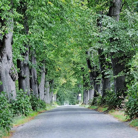 Gutshaus In Garz, Cleaning Included